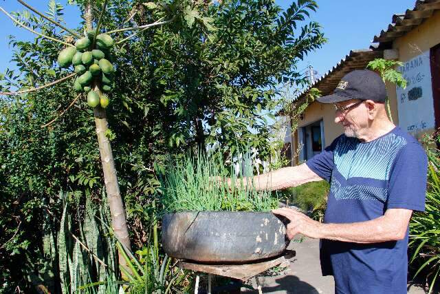 Agenor fez horta acess&iacute;vel na porta de casa e toda vizinhan&ccedil;a respeita