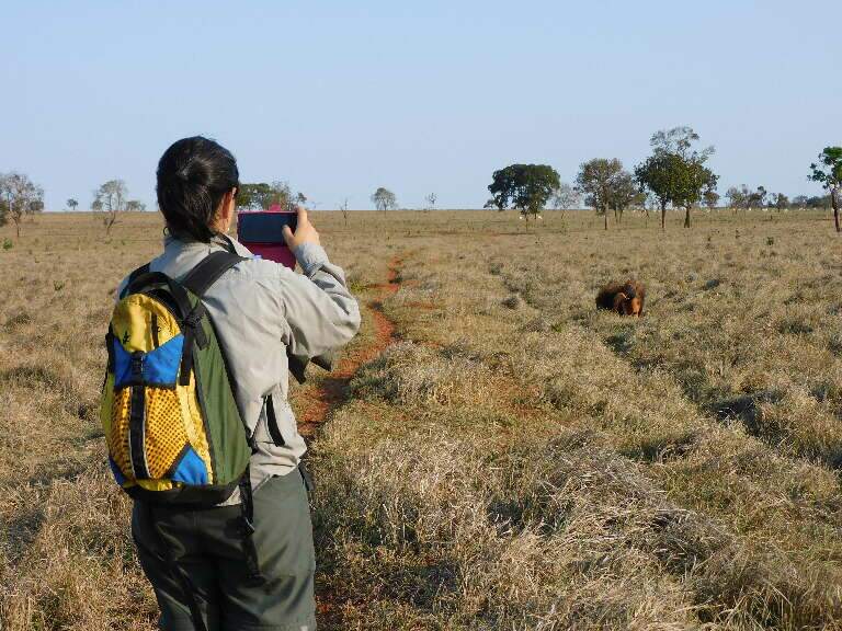 Campo Grande News