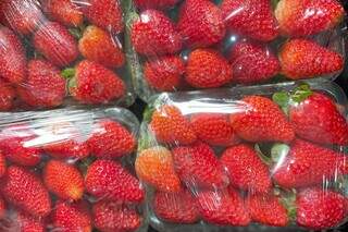 Inverno deve reduzir valor da uva e morango e anima produtores nas vendas
