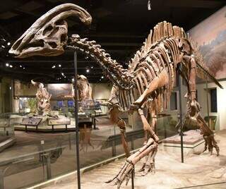 Os dinossauros n&atilde;o rugiam: alguns cantavam como p&aacute;ssaros