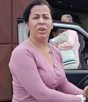 Pe&ccedil;a-chave para levar armas e drogas de MS para o Rio &eacute; presa