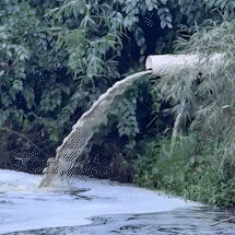 V&iacute;deo flagra &aacute;gua escura de frigor&iacute;fico caindo no Rio Verde, em MS