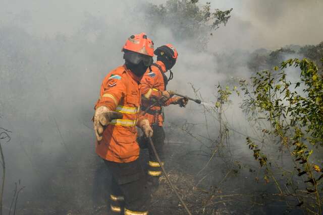 Clima ajuda e Pantanal tem junho melhor, com 92,8% menos &aacute;reas queimadas