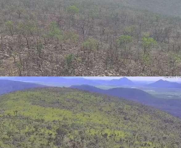 Imagens de antes e depois mostram como a chuva mudou o Pantanal