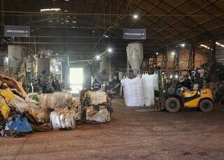 Da reciclagem &agrave; agricultura, empregos verdes ganham for&ccedil;a em Mato Grosso do Sul