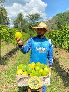 Da reciclagem &agrave; agricultura, empregos verdes ganham for&ccedil;a em Mato Grosso do Sul