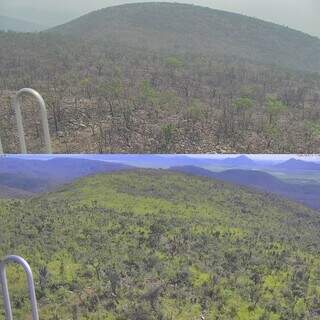 Imagens de antes e depois mostram como a chuva mudou o Pantanal