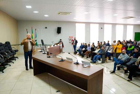Ag&ecirc;ncia lan&ccedil;a acordo que prev&ecirc; poda segura de &aacute;rvores na rede el&eacute;trica