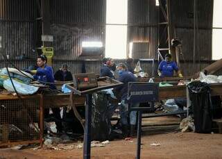 Da reciclagem &agrave; agricultura, empregos verdes ganham for&ccedil;a em Mato Grosso do Sul
