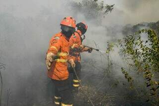 Clima ajuda e Pantanal tem junho melhor, com 92,8% menos &aacute;reas queimadas