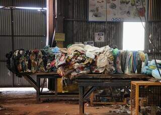 Da reciclagem &agrave; agricultura, empregos verdes ganham for&ccedil;a em Mato Grosso do Sul