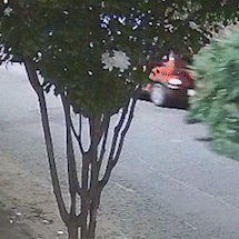 Motorista com carretinha espalha galhos por ruas da Vila Jacy e foge