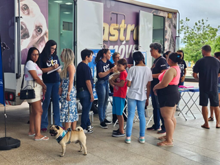 Mutir&atilde;o vai a shopping neste s&aacute;bado para castrar c&atilde;es e gatos