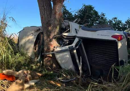 Caminhonete colide com &aacute;rvore e deixa tr&ecirc;s mortos em estrada vicinal 