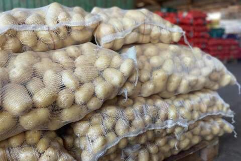 Com a chegada do frio, consumo de legumes cresce e o de frutas despenca em MS