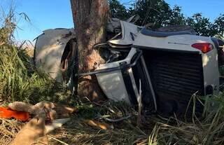 Caminhonete colide com árvore e deixa três mortos em estrada vicinal Caminhonete colide com árvore e deixa três mortos em estrada vicinal