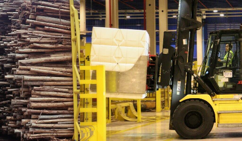 Celulose dispara e exporta&ccedil;&otilde;es de MS somam US$ 5,28 bi no semestre