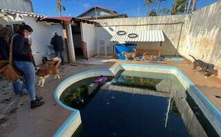 MPMS quer obrigar prefeitura a cuidar de 200 animais abandonados por entidade