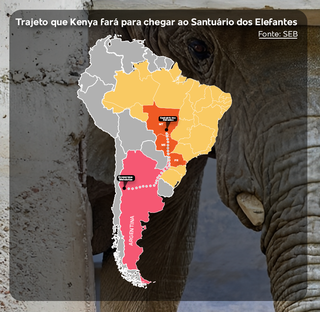 Ap&oacute;s d&eacute;cadas em cativeiro, elefanta Kenya cruza MS rumo a santu&aacute;rio no MT