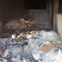Im&oacute;vel abandonado na Ernesto Geisel preocupa e vira ponto de uso de drogas