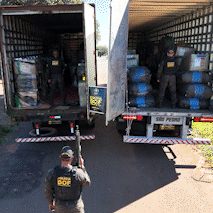 Pol&iacute;cia apreende 93 mil cigarros eletr&ocirc;nicos em carga avaliada em R$ 21 milh&otilde;es