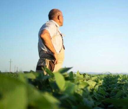 Endividamento no campo: 1&ordf; solu&ccedil;&atilde;o para o produtor rural 