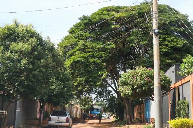 Em evento na Capital, Minist&eacute;rio fala em destinar 10% de multas &agrave; arboriza&ccedil;&atilde;o