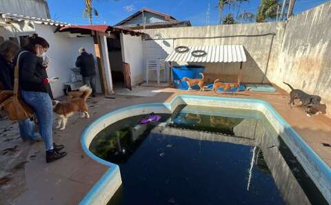 Ap&oacute;s pedido do MP, prefeitura diz que cuida de 200 animais de abrigo interditado