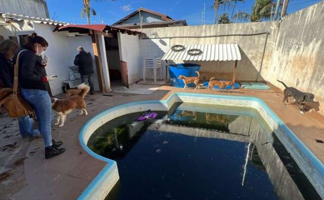 Ap&oacute;s pedido do MP, prefeitura diz que cuida de 200 animais de abrigo interditado