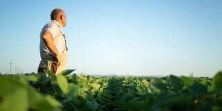 Endividamento no campo: 1&ordf; solu&ccedil;&atilde;o para o produtor rural 