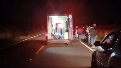 Fiat Uno colide com vacas soltas e deixa tr&ecirc;s feridos na MS-430