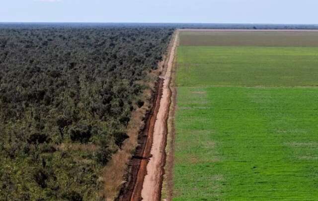 Senado prorroga at&eacute; 2030 prazo para regularizar terras na faixa de fronteira