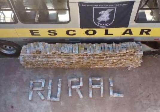 &Ocirc;nibus escolar adaptado para tr&aacute;fico escondia R$ 4 milh&otilde;es em maconha