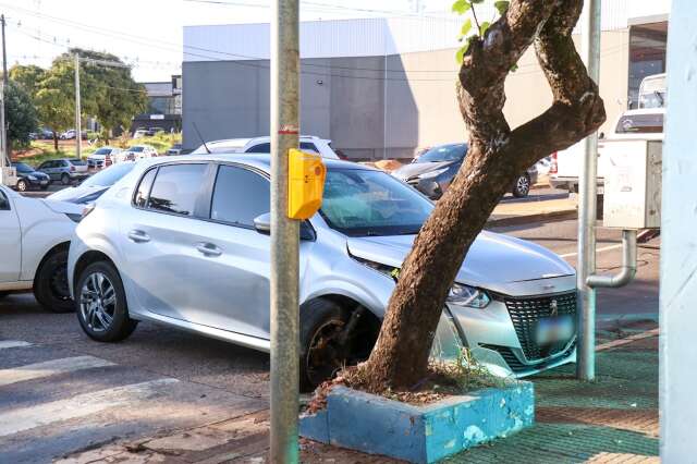 Tr&acirc;nsito fica lento ap&oacute;s mulher perder controle e bater carro em &aacute;rvore