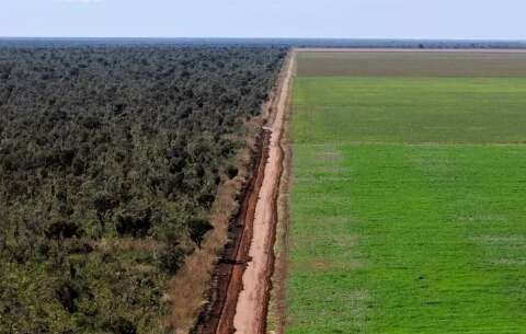 Senado prorroga at&eacute; 2030 prazo para regularizar terras na faixa de fronteira