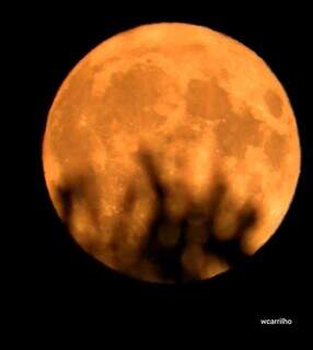 C&eacute;u de MS tem Lua dos Veados, cheia e com tom alaranjado nesta noite
