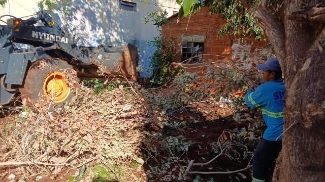 Opera&ccedil;&atilde;o retira 6 caminh&otilde;es de lixo da casa de acumulador reincidente