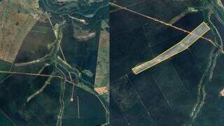 Expans&atilde;o acelerada do eucalipto mata nascentes e amea&ccedil;a &aacute;rea sens&iacute;vel do Bols&atilde;o