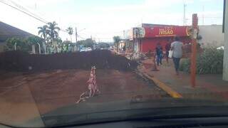 "Obra sem fim": lojista reclama de prejuízos com pavimentação no Nova Lima "Obra sem fim": lojista reclama de prejuízos com pavimentação no Nova Lima