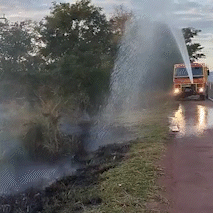 Bombeiros apagam inc&ecirc;ndio na BR-262, o pren&uacute;ncio da temporada do fogo 