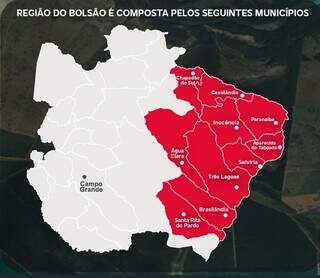 Expans&atilde;o acelerada do eucalipto mata nascentes e amea&ccedil;a &aacute;rea sens&iacute;vel do Bols&atilde;o