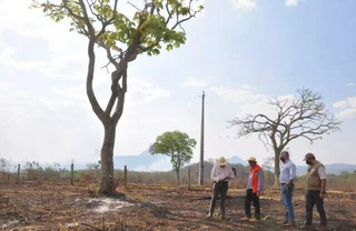 Desmatamento do Cerrado em MS cai 9,4%, mas patamar ainda preocupa Desmatamento do Cerrado em MS cai 9,4%, mas patamar ainda preocupa