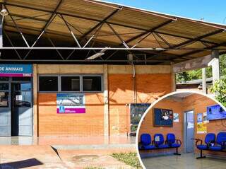 Hospital Veterin&aacute;rio da UFMS quer apoio para baratear atendimento popular