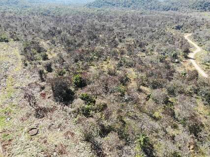Uso de agrot&oacute;xico com drone pr&oacute;ximo &agrave; terra Kadiw&eacute;u gera multa de R$ 1,3 milh&atilde;o