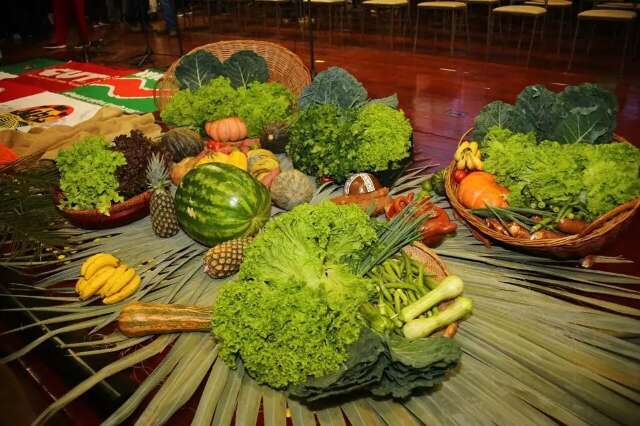 Governo de MS abre edital para comprar alimentos de agricultores ind&iacute;genas
