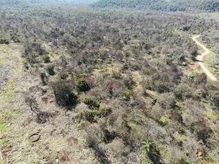 Uso de agrot&oacute;xico com drone perto &agrave; terra Kadiw&eacute;u gera multa de 1,3 milh&atilde;o