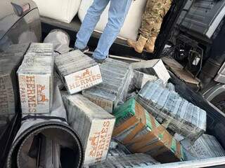 PF apreende 1 tonelada de maconha em caminhonete na BR-163