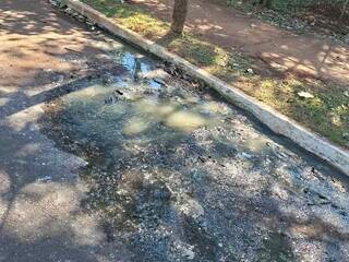 Morador denuncia vazamento de esgoto que afeta avenida h&aacute; 1 semana 