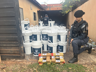 Homem &eacute; preso com 2,4 toneladas de maconha escondidas em baldes