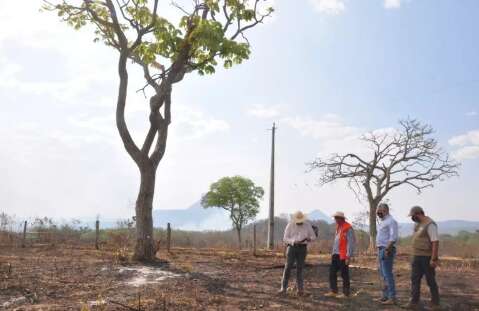 Desmatamento no Cerrado cai 9,4% em MS no &uacute;ltimo ano